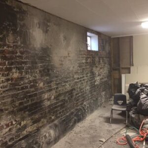 Removal Of White Mold In Basement In Greensboro NC – Mold Patrol